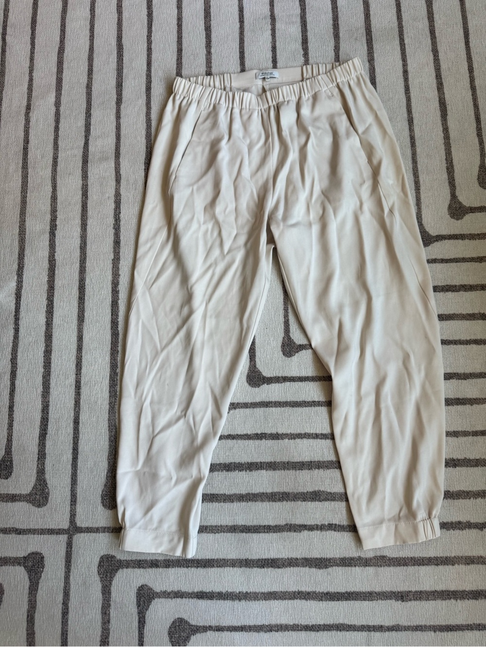 Aritzia pants